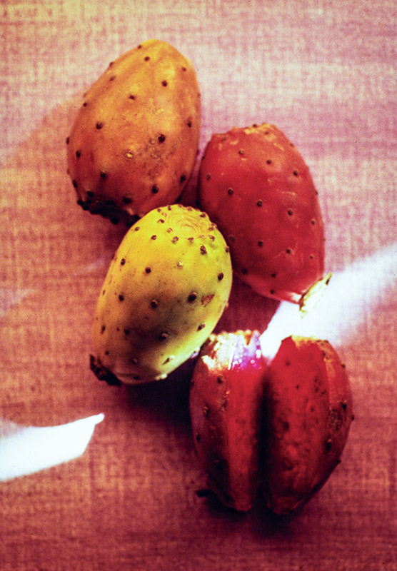 FICHI D'INDIA - 1972