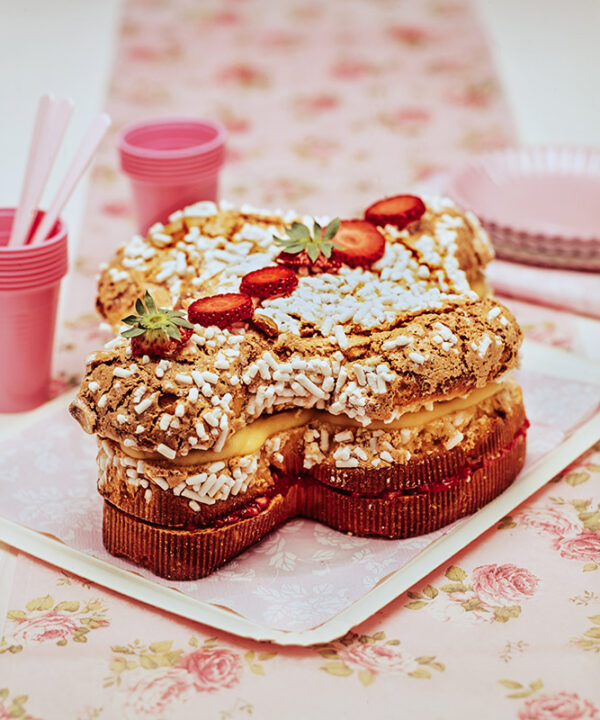 COLOMBA FARCITA - 8567