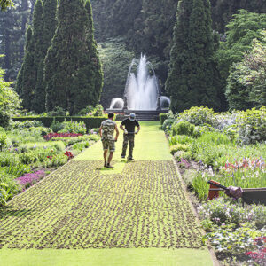 PIANTUMAZIONE - 5224