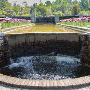 VASCHE VILLA TARANTO - 2728