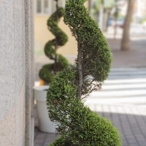 ARTE TOPIARIA DECOR - ARREDO URBANO - 9561
