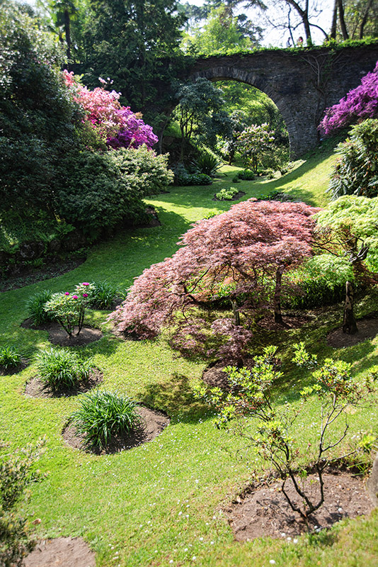 GIARDINO, GARDENING, VILLA TARANTO, VERBANIA, ITALY - 2711