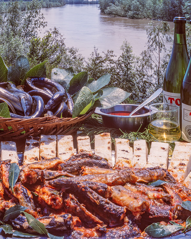 BISATO - EP1448 - 5070 - immagine 1