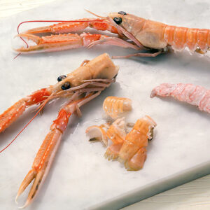 INSALATA TIEPIDA DI MARE (STEP 2) - 1524