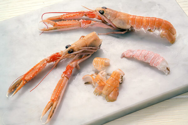 INSALATA TIEPIDA DI MARE (STEP 2) - 1524