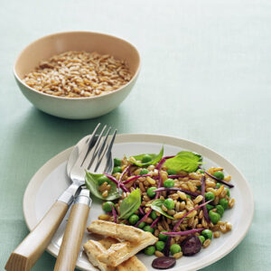 GRANO KAMUT CON CAROTE NERE PISELLI BASILICO E SCHIACCIATINA ALL'ORIGANO - 7367