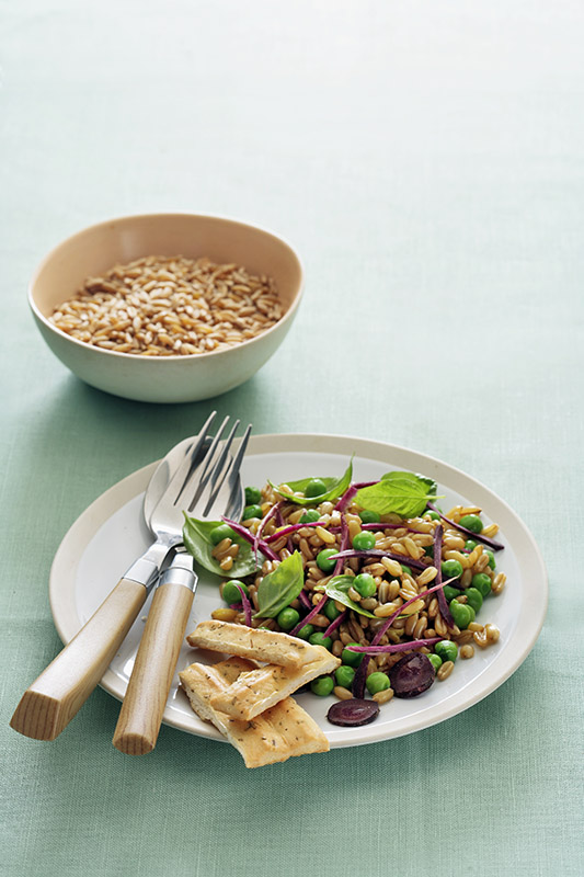 GRANO KAMUT CON CAROTE NERE PISELLI BASILICO E SCHIACCIATINA ALL'ORIGANO - 7367 - immagine 1