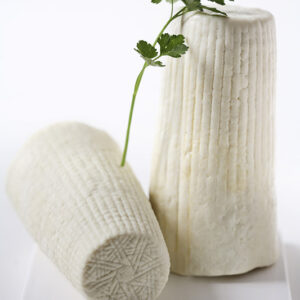 RICOTTA MARZOTICA - 0413