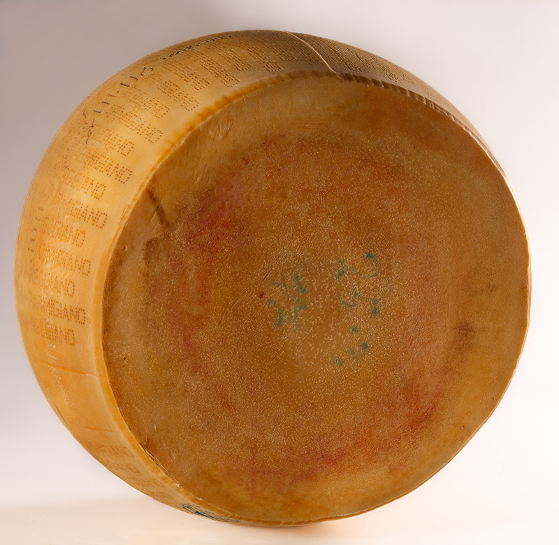 ss_1668140 - immagine 1