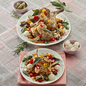 CONIGLIO CON SOTTACETI - 0350