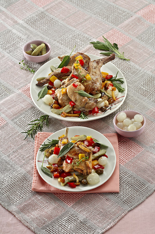 CONIGLIO CON SOTTACETI - 0350 - immagine 1