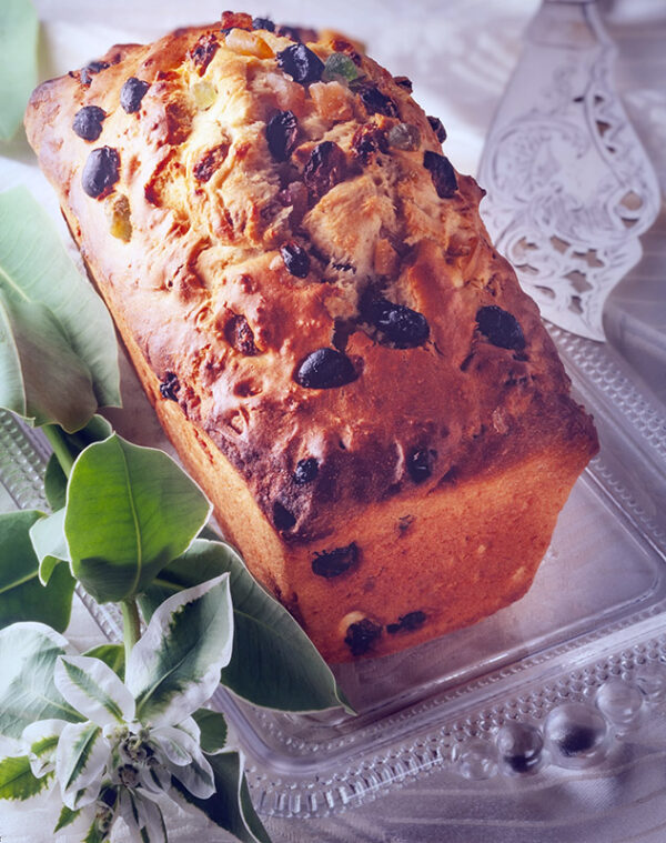 PLUMCAKE - GR2543 - 2040