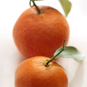 MANDARINI CLEMENTINE - 2735