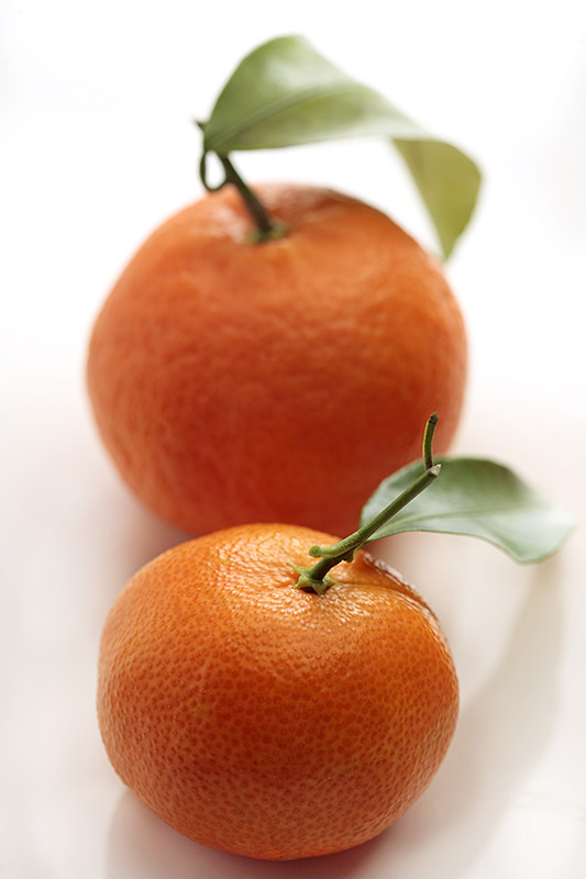 MANDARINI CLEMENTINE - 2735