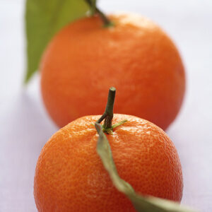 MANDARINI CLEMENTINE - 2738