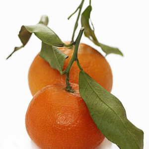MANDARINI CLEMENTINE - 2744