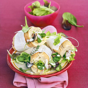 BAGUETTE CON PROSCIUTTO COTTO EDAM MISTICANZA SALSA AGLIATA - 0428