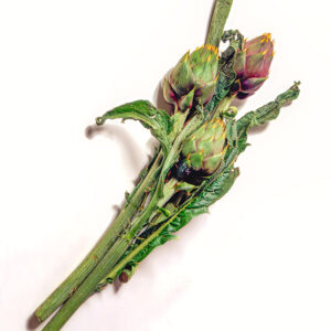 CARCIOFI SPINOSI SARDI - 53998