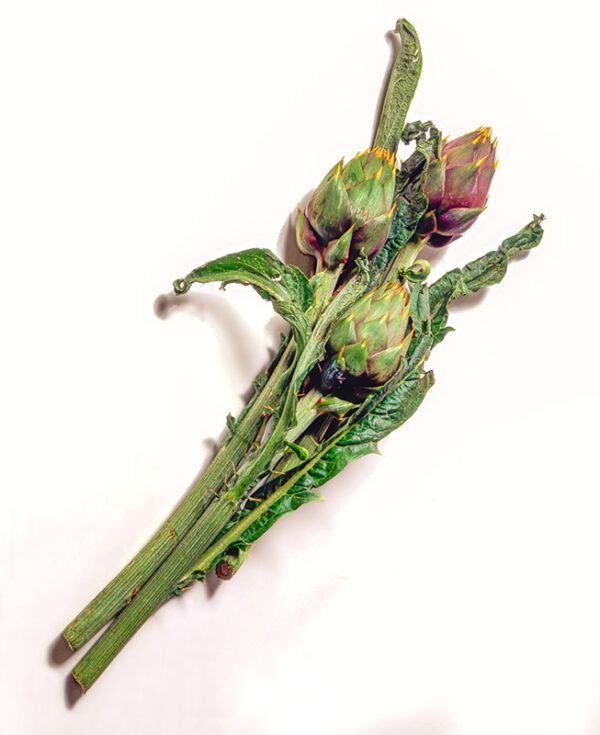 CARCIOFI SPINOSI SARDI - 53998