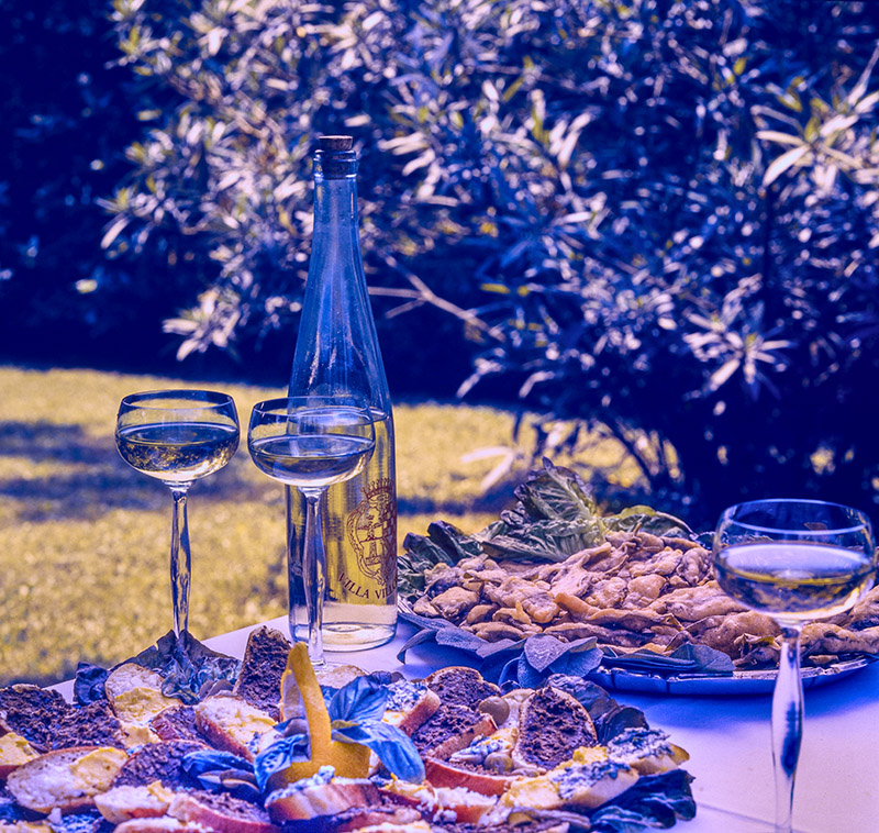 CROSTINI TOSCANI, PATÉ, FUNGHI TRIFOLATI, SALVIA FRITTA - 4107 - immagine 1