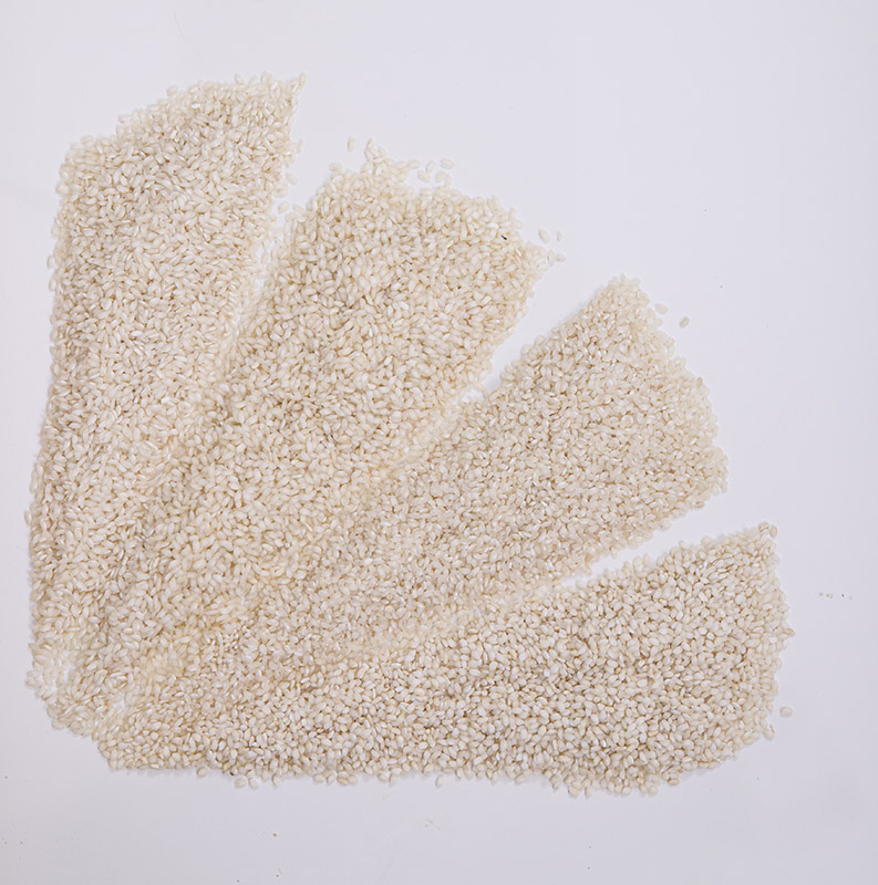 VENTAGLIO VARIETÀ DI RISO - 3877 - immagine 1