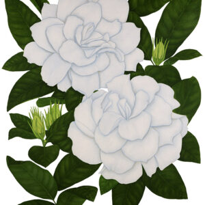 GARDENIA - RUBIACEAE - 7303