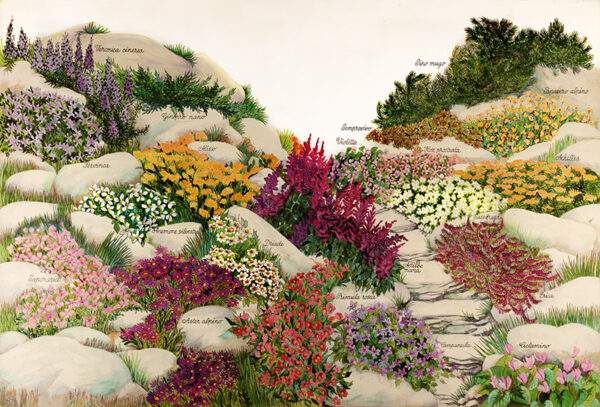 TAVOLA GIARDINO ROCCIOSO - 7308