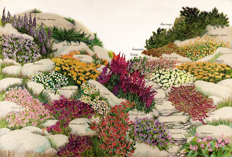 TAVOLA GIARDINO ROCCIOSO - 7308 - immagine 1