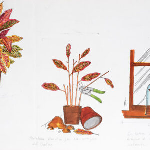 STEP - POTATURA CROTON - 7315
