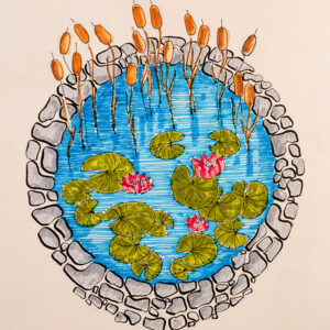 VASCA E PIANTE ACQUATICHE - 7322