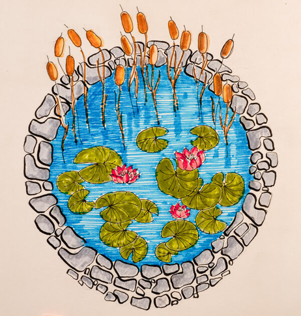 VASCA E PIANTE ACQUATICHE - 7322