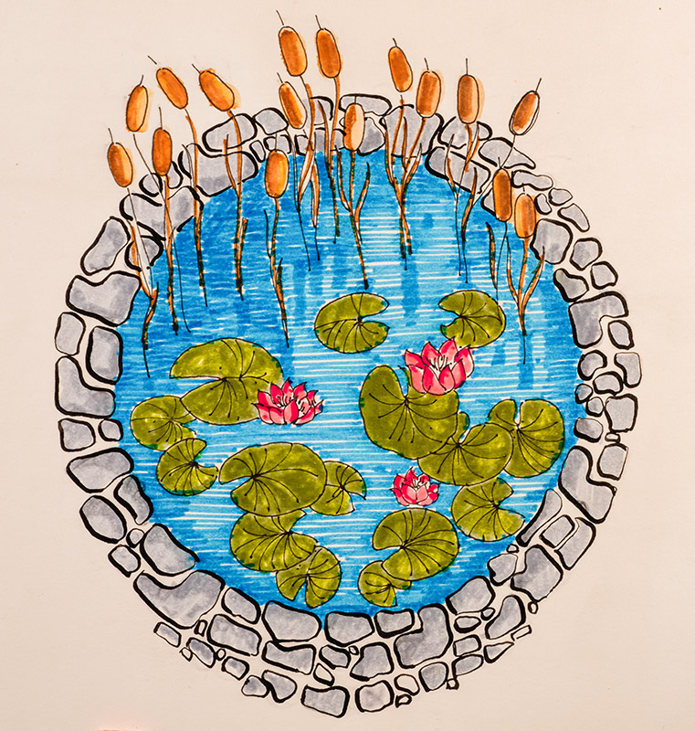 VASCA E PIANTE ACQUATICHE - 7322 - immagine 1