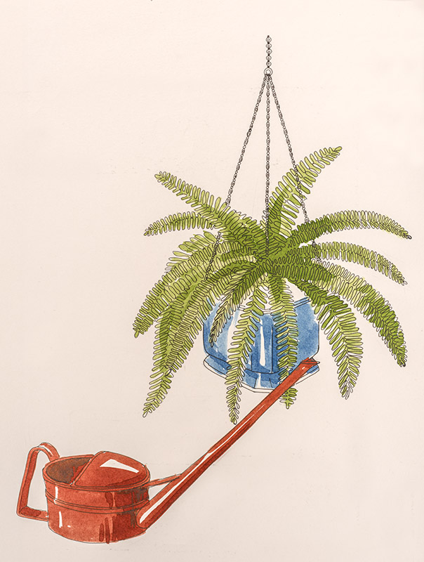 FELCE E INNAFFIATORE - 7323 - immagine 1