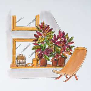 STEP – SISTEMAZIONE CROTON - 7330