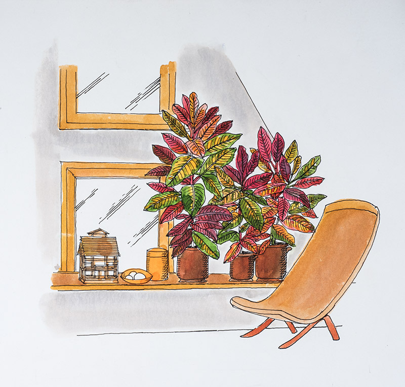 STEP – SISTEMAZIONE CROTON - 7330 - immagine 1