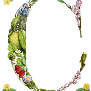 C CAPOLETTERA FIORI E FRUTTA - 7336