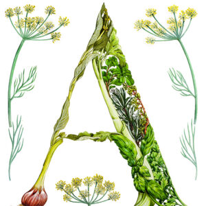 A CAPOLETTERA ERBE AROMATICHE - 7339