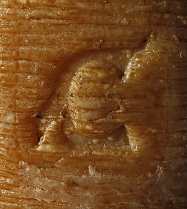 CROTONESE - PECORINO SARDO - MARCHIO - 0648