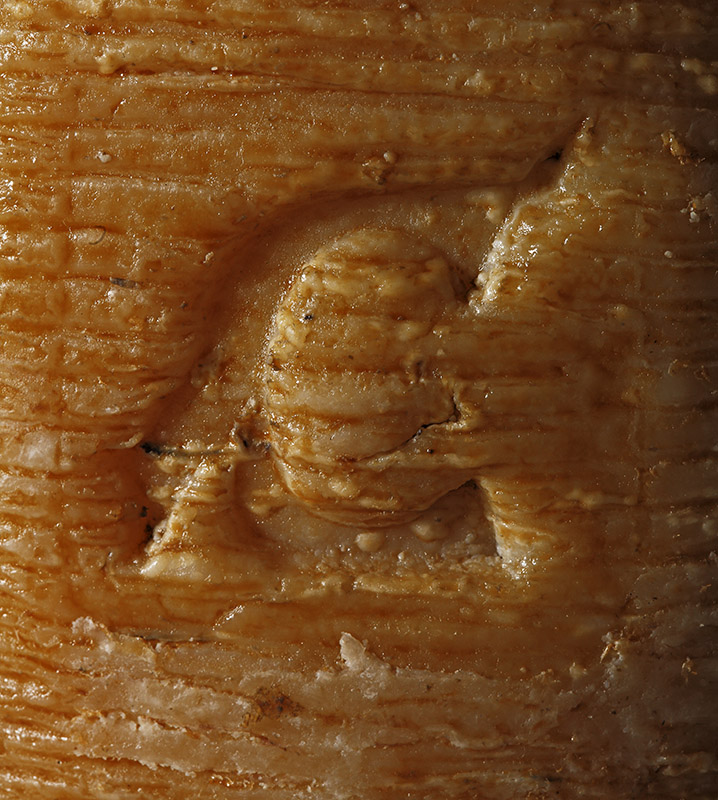 CROTONESE - PECORINO SARDO - MARCHIO - 0648 - immagine 1