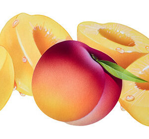 PESCA E PESCHE SCIROPPATE - 0399