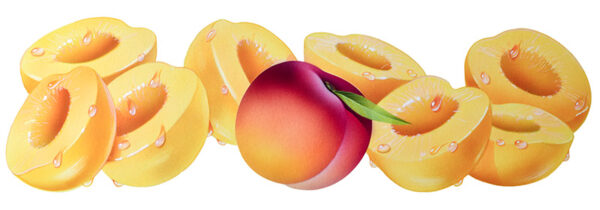 PESCA E PESCHE SCIROPPATE - 0399