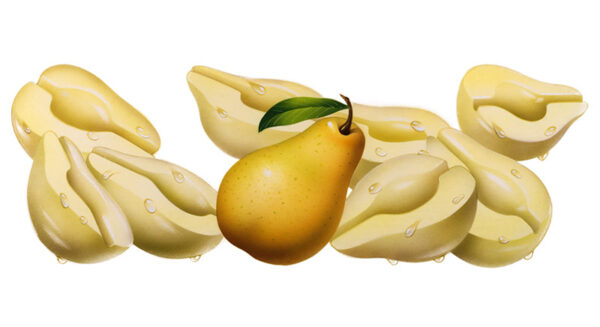 PERA E PERE SCIROPPATE - 0403