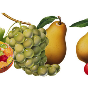 FRUTTA E MACEDONIA - 0402