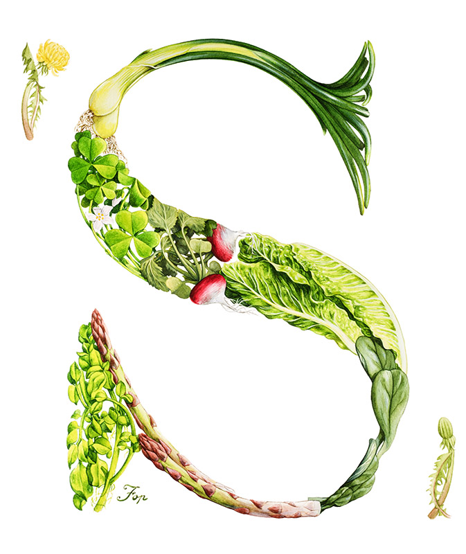 S CAPOLETTERA ORTAGGI - 0393 - immagine 1