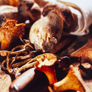 PORCINI FINFERLI CHIODINI - S4300 - 2746