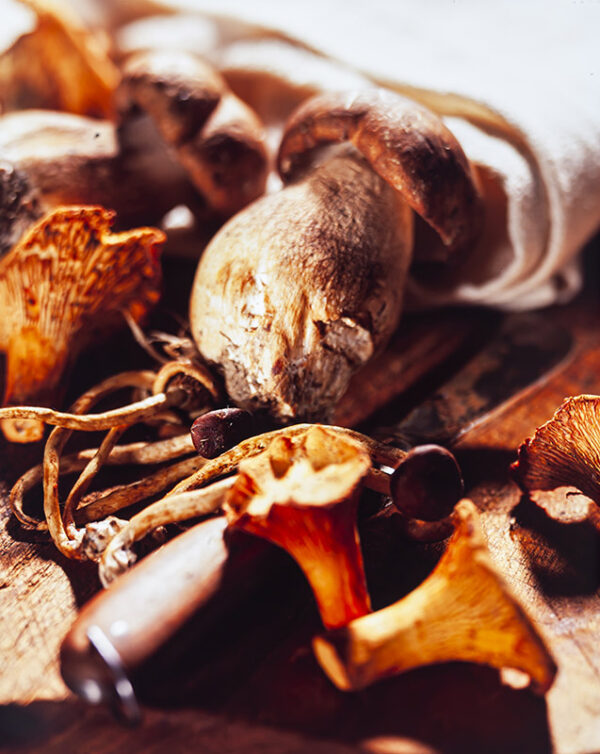 PORCINI FINFERLI CHIODINI - S4300 - 2746