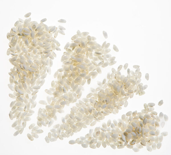 VENTAGLIO VARIETÀ DI RISO - 3884