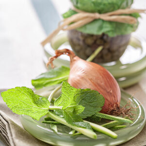 MENTA SCALOGNO E CAPPERI - 1293