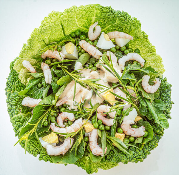 INSALATA ALLA RUCOLA - GR2271 - 3556