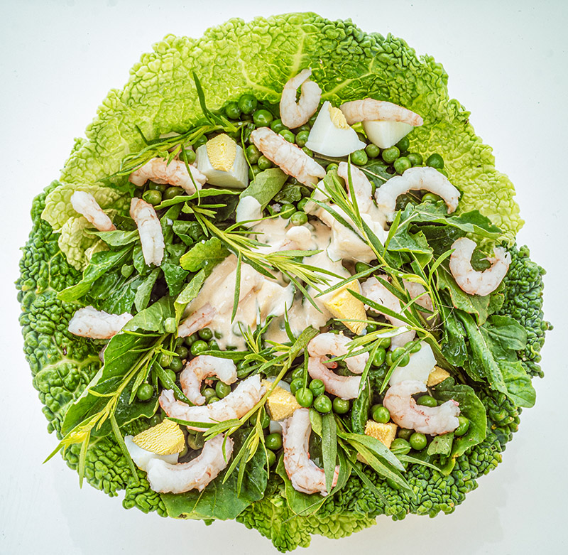 INSALATA ALLA RUCOLA - GR2271 - 3556 - immagine 1